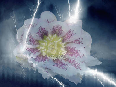 Best Sellers - Floral Mixed Media - Floral Lightning Reflections by Dennis Buckman