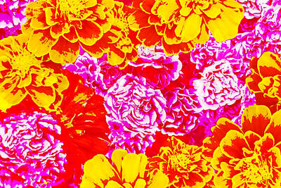 Floral Photos - Floral Pattern 2013-1 by Thomas Young