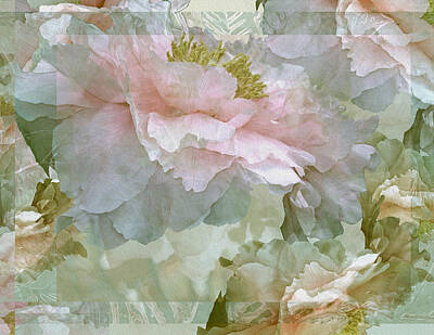 Water Droplets Sharon Johnstone Royalty Free Images - Floral Potpourri with Peonies 27 Royalty-Free Image by Lynda Lehmann