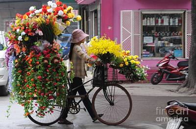 Floral Photos - Floral ride by Marion Galt