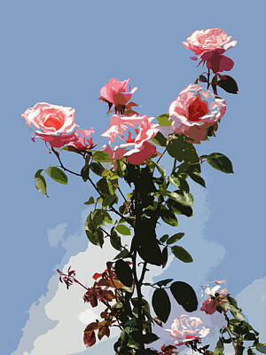 Florals Digital Art - Floral Roses and Summer Sky by Mark Woollacott
