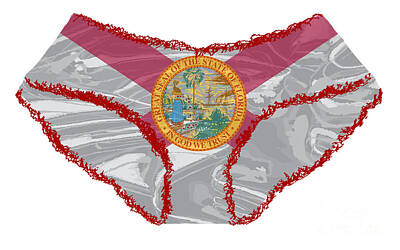 Frog Photography - Florida Flag Knickers by Bigalbaloo Stock