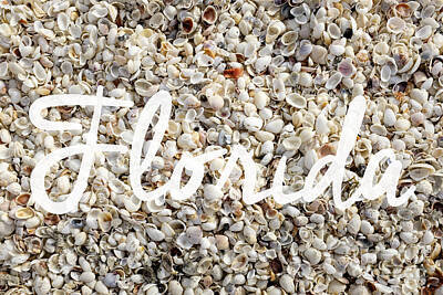 Wilderness Camping - Florida Seashells by Edward Fielding