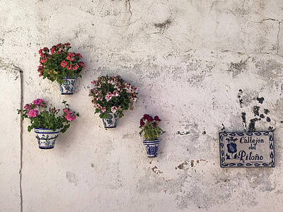 Priska Wettstein Pink Hues Royalty Free Images - Flower Pots Sacromonte Royalty-Free Image by Digby Merry