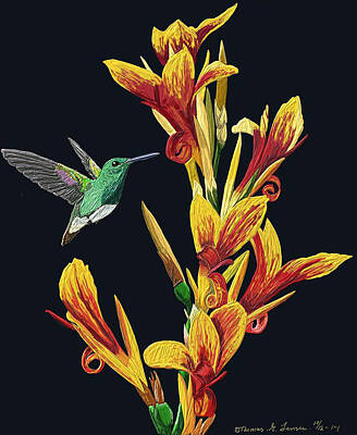 School Teaching - Flower With Bird by ThomasE Jensen