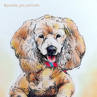 Portraits Rights Managed Images - Fluffy Ears Royalty-Free Image by Pookie Pet Portraits