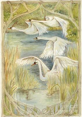 Summer Trends 18 - Flying Swans by Morgan Fitzsimons