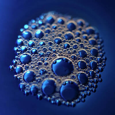 Rico Besserdich Royalty-Free and Rights-Managed Images - Foamy Bubbles by Rico Besserdich