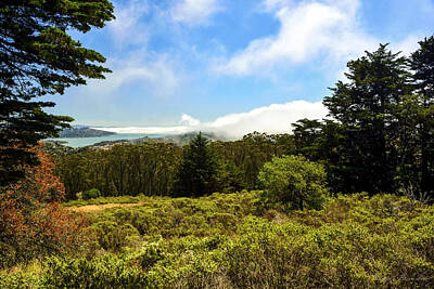 Chocolate Lover - Fog Rolling Into Bay Area by Brian Tada