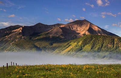 Moody Trees Rights Managed Images - Fog Rolls Through a Meadow Above Crested Butte While Whetstone M Royalty-Free Image by Bridget Calip
