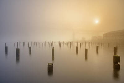 States As License Plates - Foggy morning at river side by William Lee