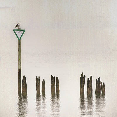 Spot Of Tea - Foggy Morning Texture Keyport Harbor by Gary Slawsky