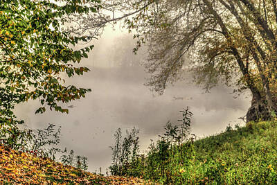 Fromage - Foggy pond by Jane Luxton