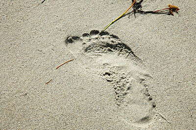 Sultry Plants Rights Managed Images - Footprint in the Sand  - South Beach Miami Royalty-Free Image by Frank Mari