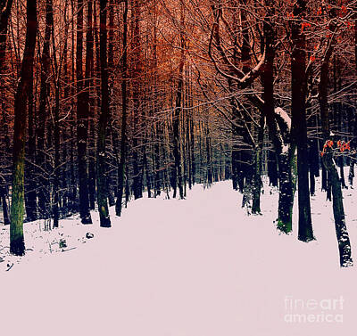 Travel Luggage - Forest Snow by Safran Fine Art