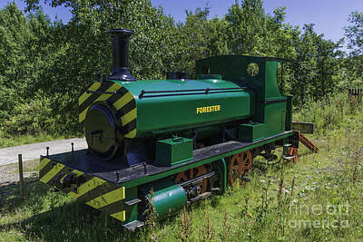 Railroad Royalty Free Images - Forester Royalty-Free Image by Steve Purnell