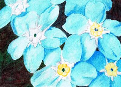 Catch Of The Day Royalty Free Images - Forget Me Nots Royalty-Free Image by Jeanne Stumbaugh