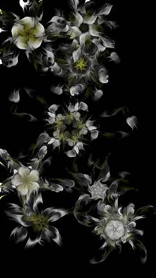 Florals Digital Art - Fractal Floral Pattern Black by David Lane