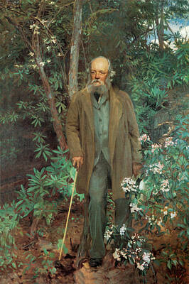Recently Sold - Landscapes Photos - Fredrick Law Olmsted 1895 by John Singer Sargent