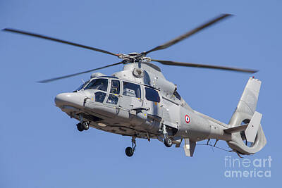 Transportation Photos - French Navy As565 Panther Helicopter by Timm Ziegenthaler