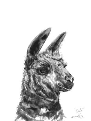 Mammals Drawings - Gabe by Kristin Llamas