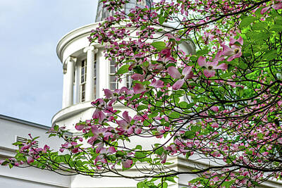 Needle And Thread - Galbreath Chapel at Ohio University in Spring by Robert Powell