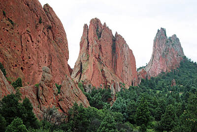 Jazz Collection - Garden of the Gods 107 by Pamela Critchlow