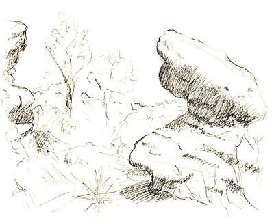 Mountain Drawings - Garden of the Gods Rocks Along the Trail ink drawing by Adam Lon by Adam Long