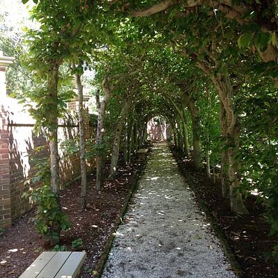 Gustav Klimt - Garden Walkway by Will Felix