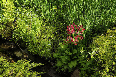 Edward Hopper - Gardening Delights - Miniature Creek with Red Primrose by Georgia Mizuleva