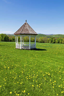 Royalty-Free and Rights-Managed Images - Gazebo In Dandelion Field by Alan L Graham