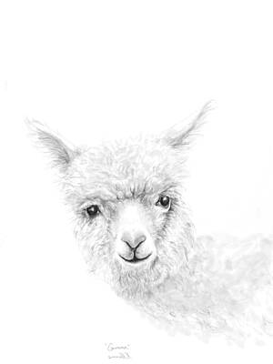 Mammals Drawings - Gemma by Kristin Llamas