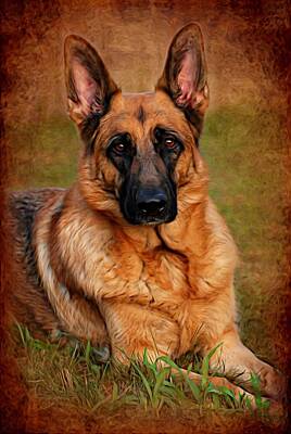 Animals Photo Rights Managed Images - German Shepherd Dog Portrait  Royalty-Free Image by Angie Tirado