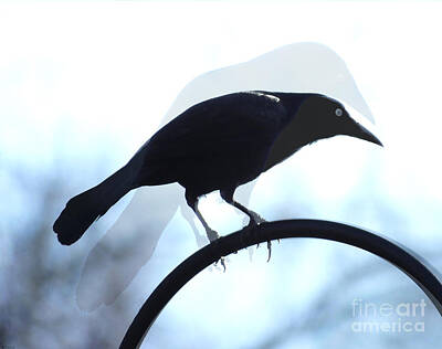 Man Cave - Ghosted Grackle by Lizi Beard-Ward