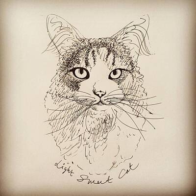 Best Sellers - Portraits Drawings - Ginger by Pookie Pet Portraits