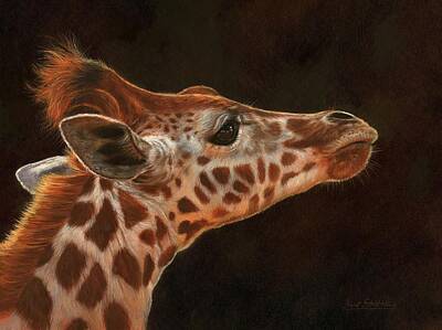 Mammals Royalty-Free and Rights-Managed Images - Giraffe Profile by David Stribbling