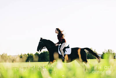 Animals Photo Rights Managed Images - Girl storming through the field on a bay horse Royalty-Free Image by Michal Bednarek