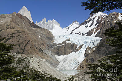 Staff Picks Cortney Herron Royalty Free Images - Glacier Piedras Blancas Royalty-Free Image by Karen Foley