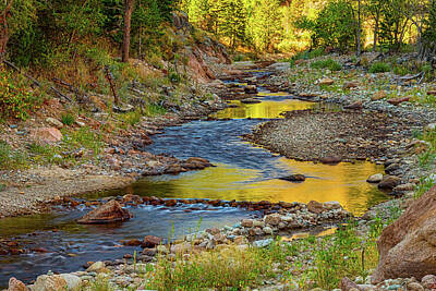 James Bo Insogna Rights Managed Images - Golden Fishing Stream Royalty-Free Image by James BO Insogna