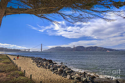 Kitchen Mark Rogan - Golden Gate Bridge San Francisco by David Zanzinger