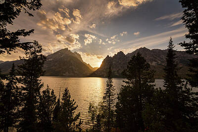 James Bo Insogna Photo Rights Managed Images - Golden Jenny Lake View Royalty-Free Image by James BO Insogna