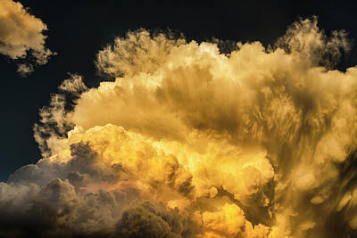 James Bo Insogna Rights Managed Images - Golden Thunderhead Royalty-Free Image by James BO Insogna