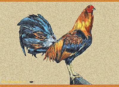 Mammals Drawings - Rooster1 by Cat Culpepper