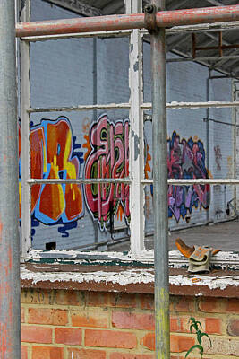 Polar Bears - Grafitti through Window by Tony Murtagh