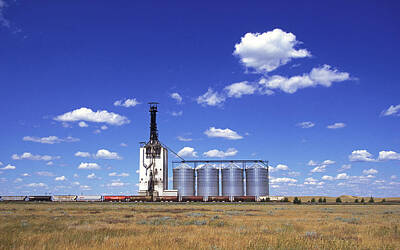 Animal Portraits - Grain Silo, Great Plains, Alberta by Buddy Mays