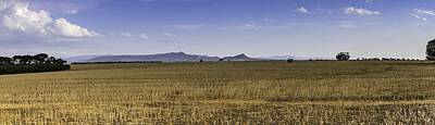 The Champagne Collection - Grampians skyline  by Todd Williams