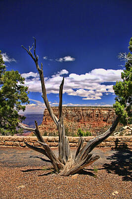 Mans Best Friend Royalty Free Images - Grand Canyon # 11 - Moran Point Royalty-Free Image by Allen Beatty