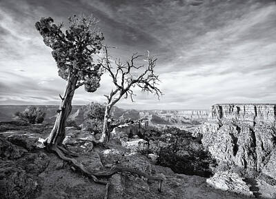 Star Wars Baby - Grand Canyon - Monochrome by Darren White