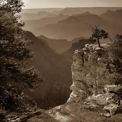 Albert Bierstadt - Grand Canyon Sunset - Arizona - Sepia Square Format by Gregory Ballos