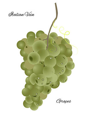 Wine Digital Art - Grapes by Marina Usmanskaya